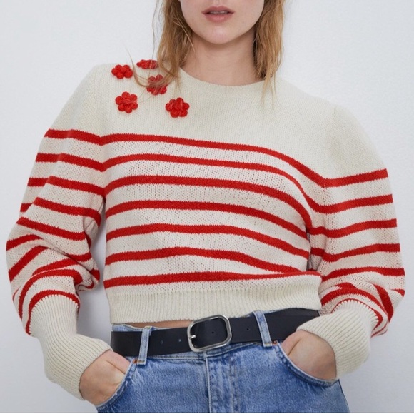 ZARA | 3-D Raised Knit Embroidered Crop Sweater M